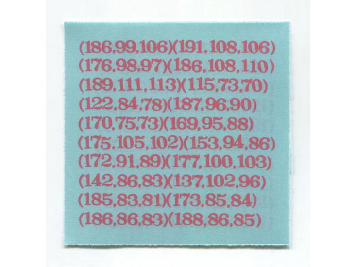 Zhao Yao　Jing Zhen Hong RGB (Ⅱ)　2025