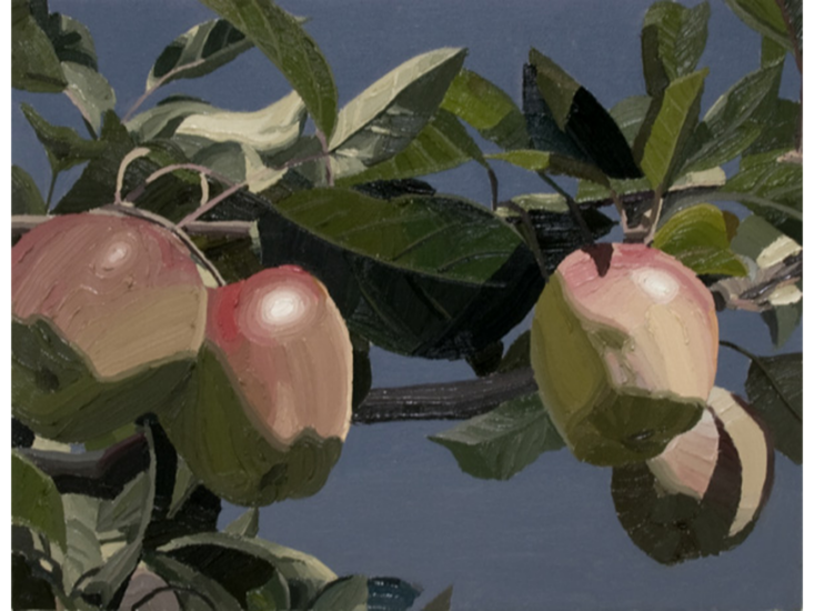 Christian Probst　2012