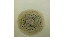 autumnleavesfields_121219_01