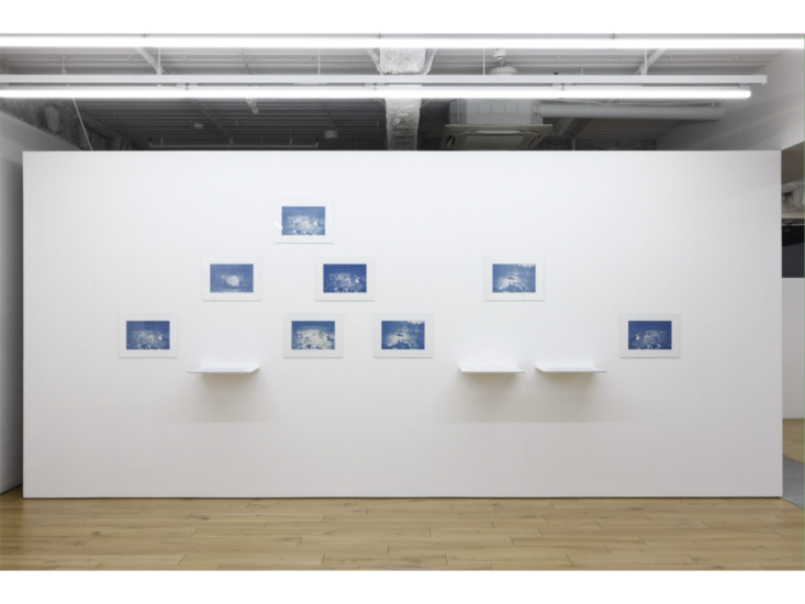 高木こずえ　tn_bc　2025