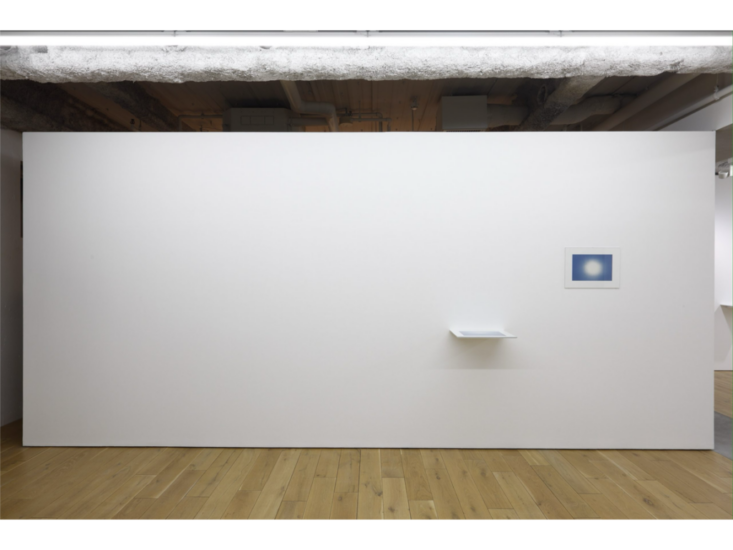 高木こずえ　tn_d　2025