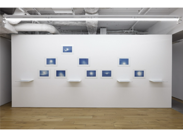 高木こずえ　tn_f1, tn_f2　2025