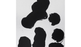 daichiroshinjo_250426_01