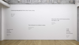 davidhorvitz_250705_01