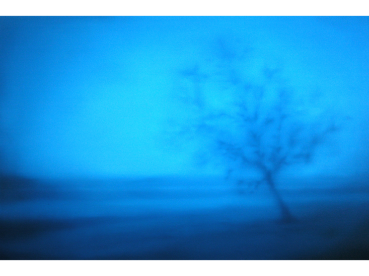 高井史子　w3　2011