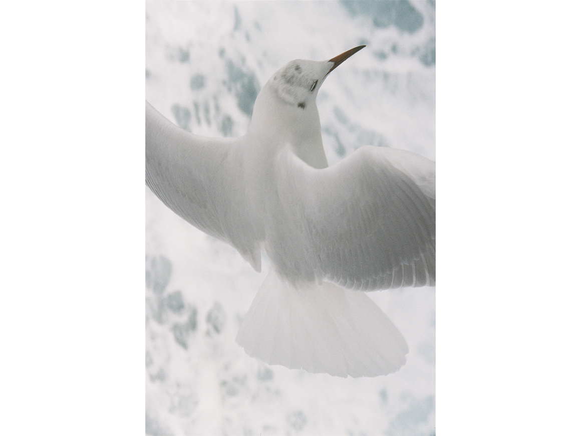 ittetsumatsuoka_250906_01