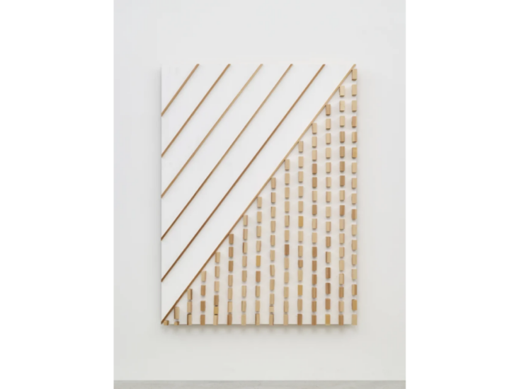 菅木志雄　合地空　2023