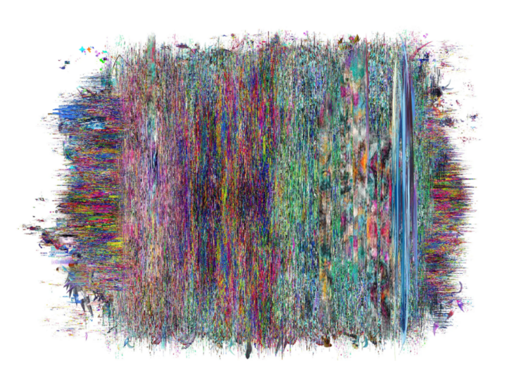 梅沢和木　Hofstadter's law　2025