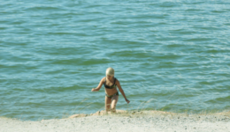 midorimitamura_110416_01