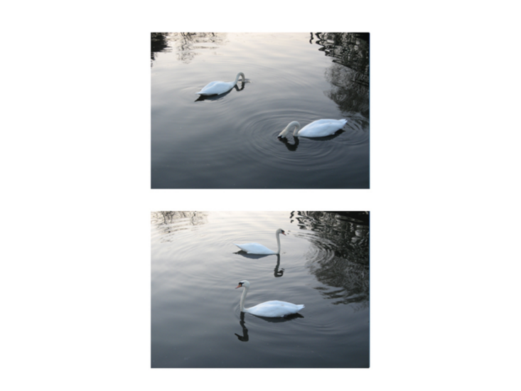 三田村光土里　empty element #8　2003