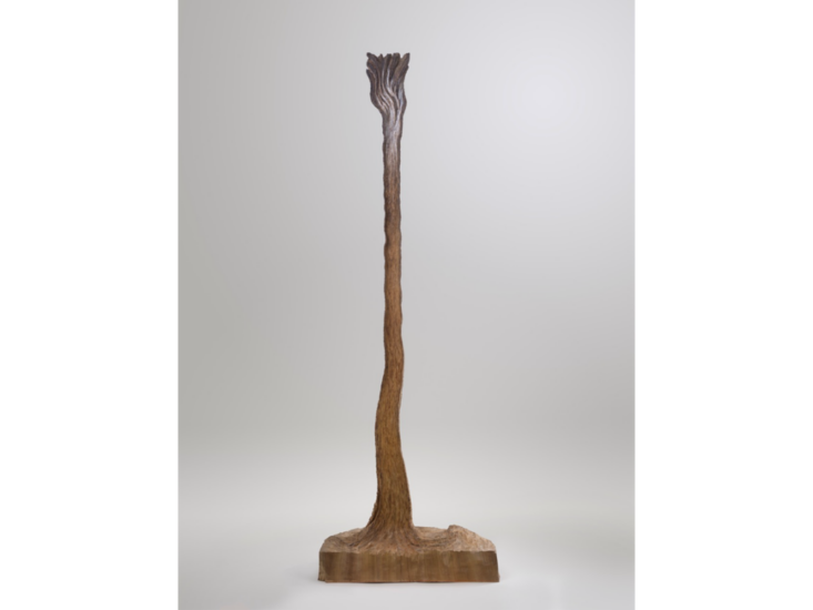 瀧本光國　瀧'25-Ⅰ　2025