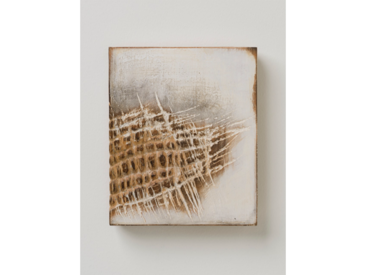 瀧本光國　作品2025-1　2025