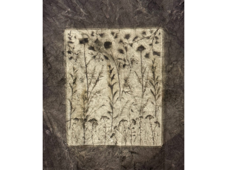 Sam Falls　Sun Fade 1　2025