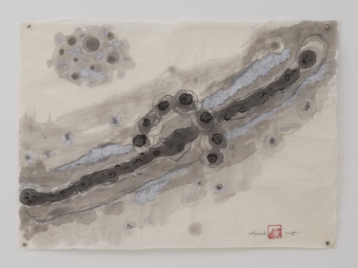 林武史　雨をまたぐためのドローイング　2025