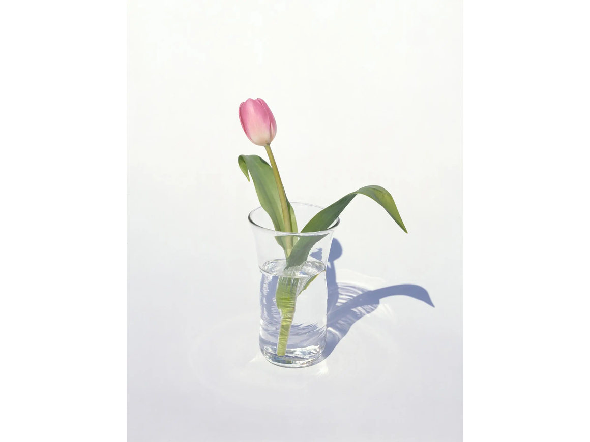 yoshihikoueda_250823_01