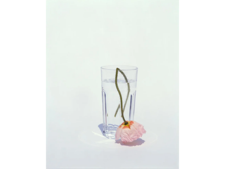 上田義彦　FLOWERS No.11　1996 / 2025