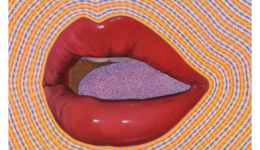 yurikowada_120323_01