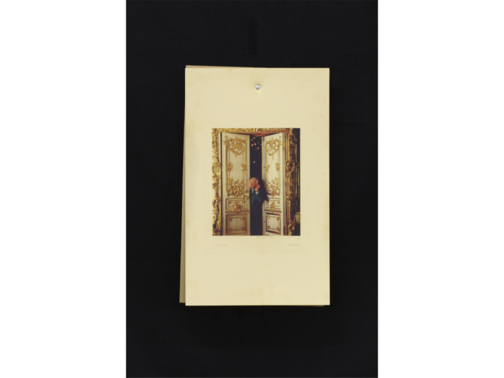 荒川医 & Sergei Tcherepnin　Looking at Listening: Insights from the Forest (detail)　2011