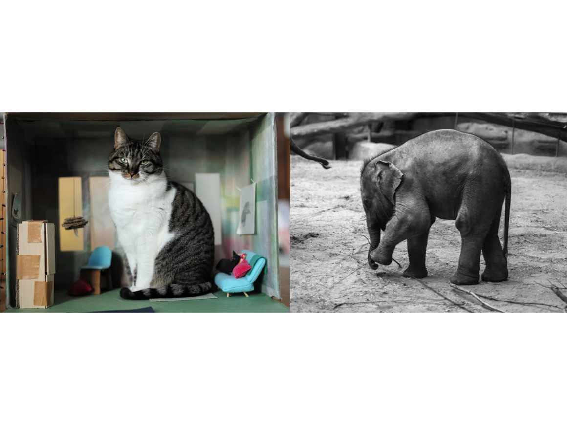 charlottedumas_260307_01