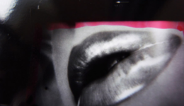 daidomoriyama_110604_01