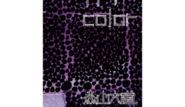 daidomoriyama_120511_01