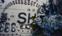 erikayoshino_121208_01