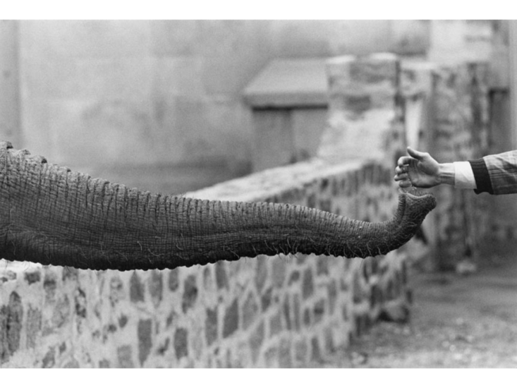 Garry Winogrand　New York　c.1963 / 1970s