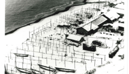 ichirokojima_110812_01