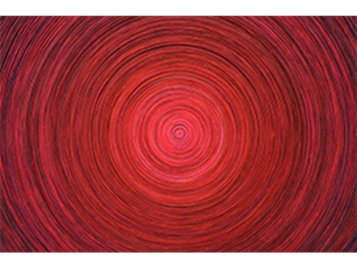 Jane Lee　OM　2013