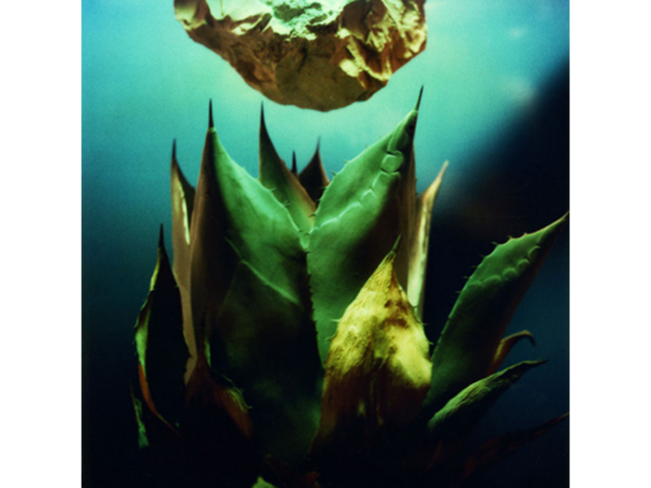 繰上和美　陽と骨Ⅱ　2011