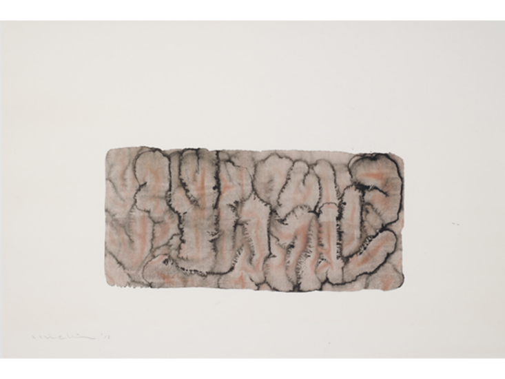 外林道子　體と臟 9　2013