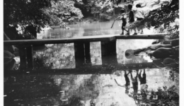 nobuyoshiaraki_110507_01