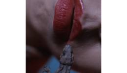 nobuyoshiaraki_130525