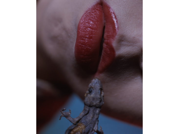 荒木経惟　色（エロ）女（リアル）　2013