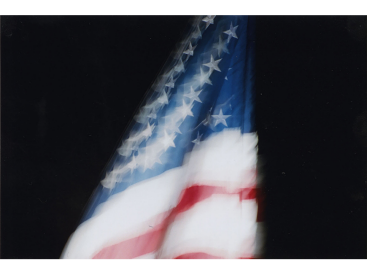 綿谷修　Icon (Flag #2)　2012