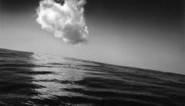 shomeitomatsu_110416_01