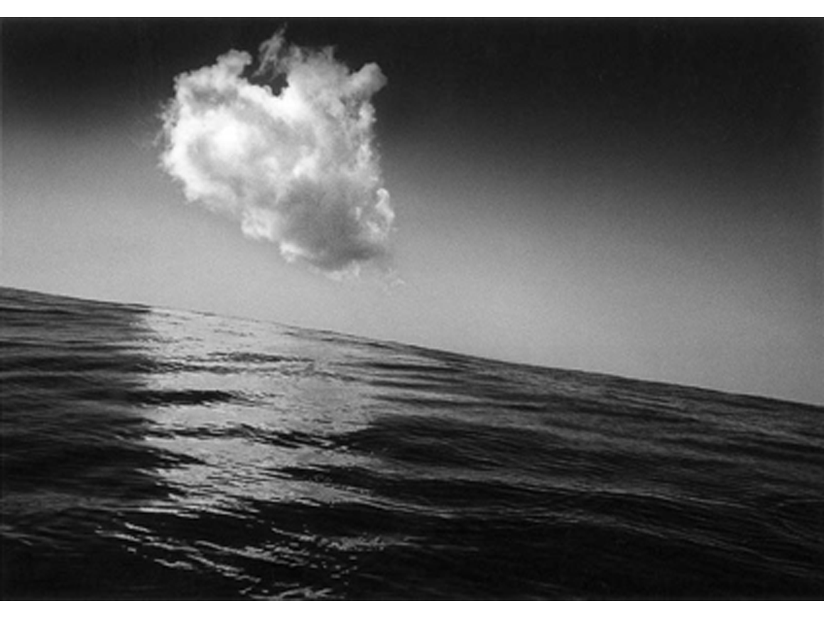 shomeitomatsu_110416_01