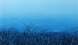 tomokiimai_130126_01