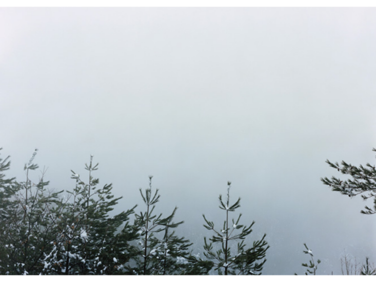 今井智己　Semicircle Law #11 2012.3.11 / 20 km　2012