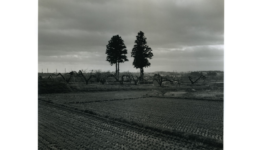 toshiyamurakoshi_130412_01