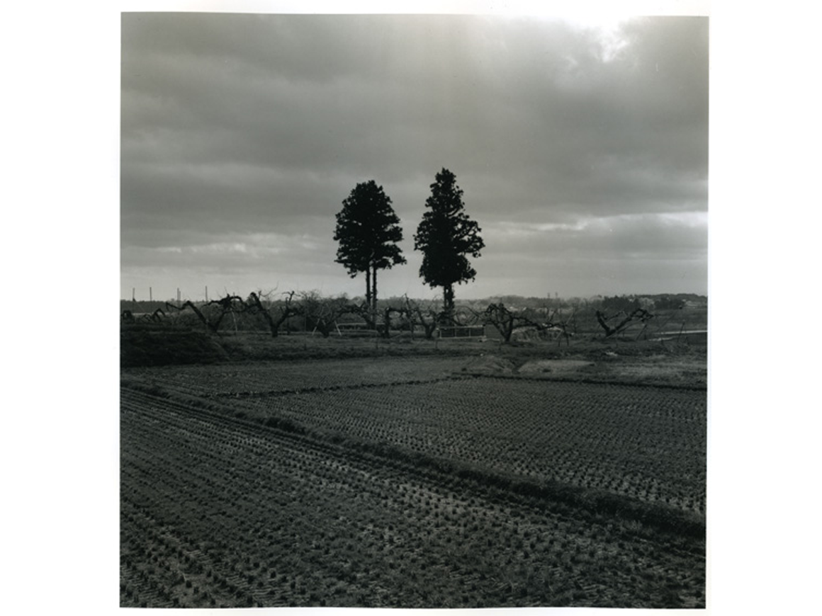 toshiyamurakoshi_130412_01