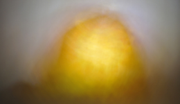 yukinorimaeda_111112_01