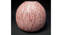 adamsilverman_131113