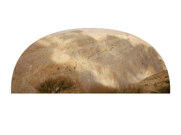 津田直　LO - Cupola #31　2024/2025