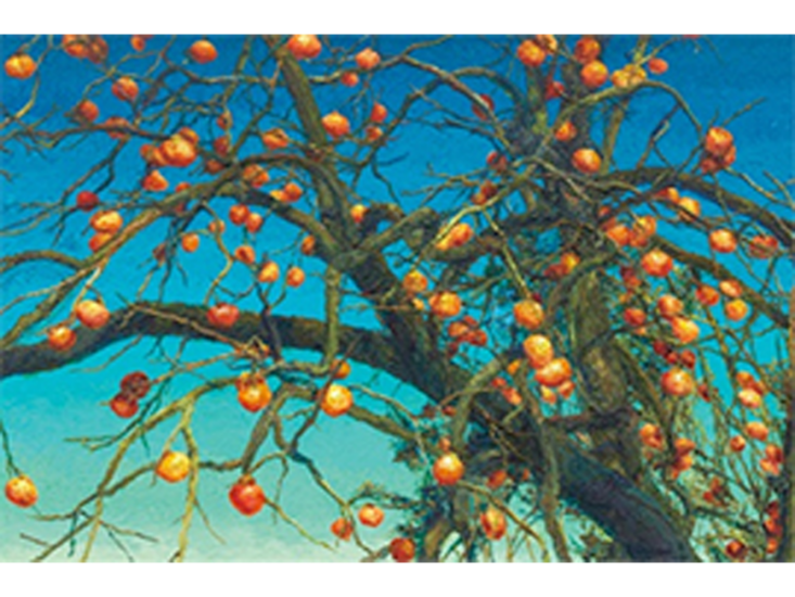 Oh ChiGyun　Persimmon　2011