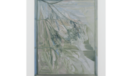 reikatakebayashi_260404