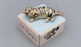 takemehome_260203_01