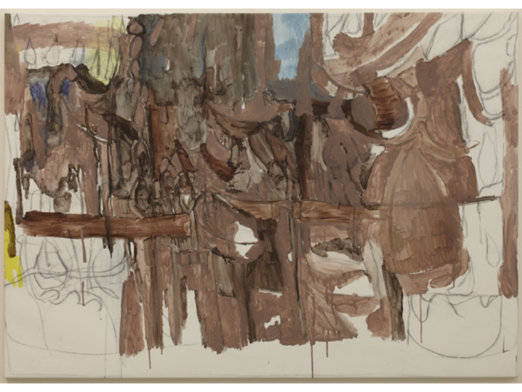 Varda Caivano　Untitled　2013