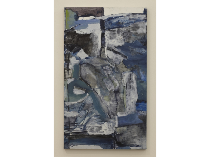 Varda Caivano　Untitled　2013