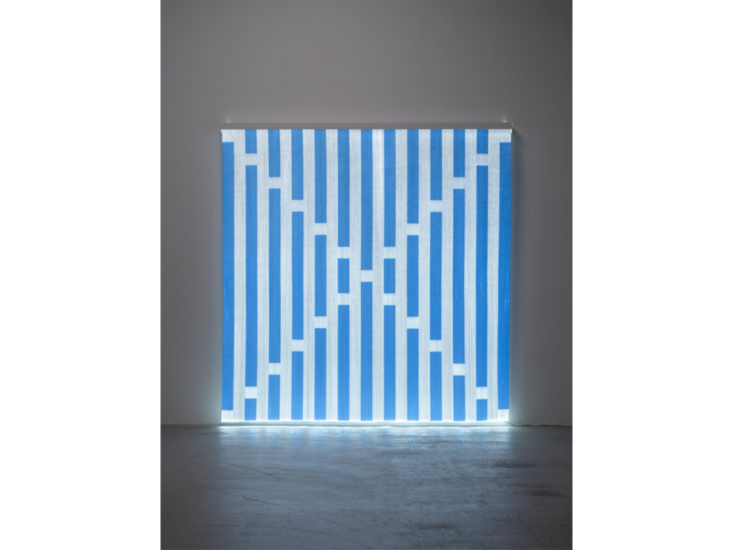 Daniel Buren　Fibres optiques - Bleu clair J2　2013